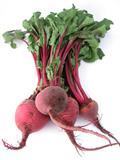 Beta vulgaris
